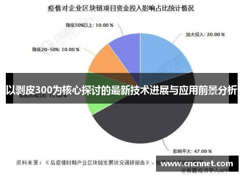 以剥皮300为核心探讨的最新技术进展与应用前景分析