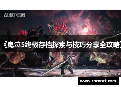 《鬼泣5终极存档探索与技巧分享全攻略》