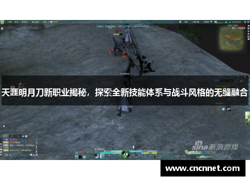 天涯明月刀新职业揭秘，探索全新技能体系与战斗风格的无缝融合